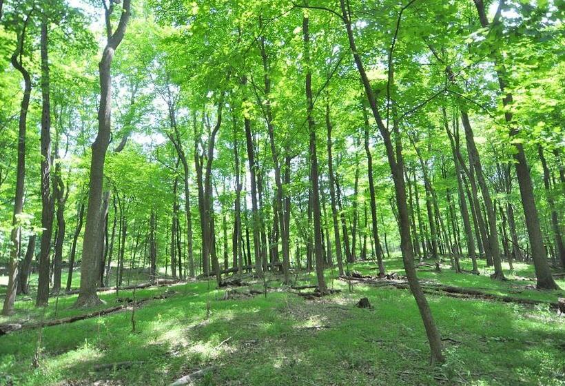 A Serenity Station   A Serene Experience