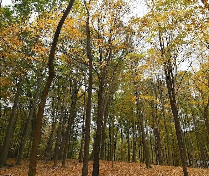 A Serenity Station A Serene Experience