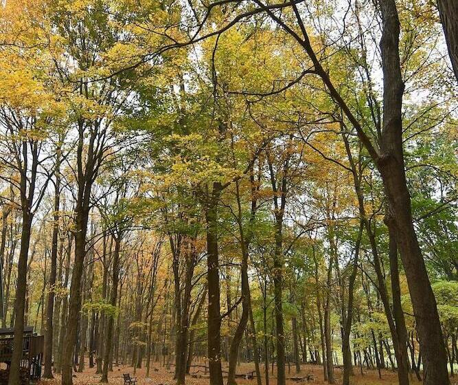 A Serenity Station   A Serene Experience