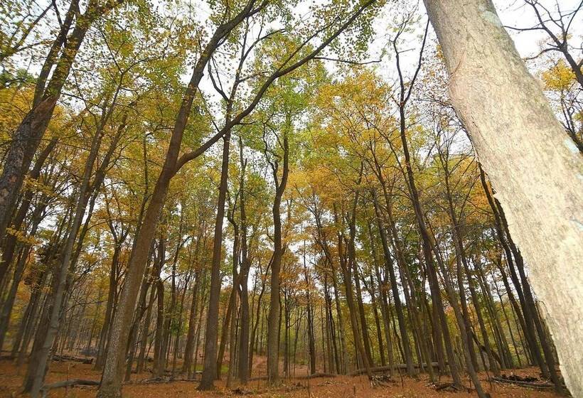 A Serenity Station   A Serene Experience