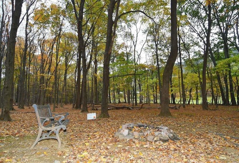 A Serenity Station   A Serene Experience