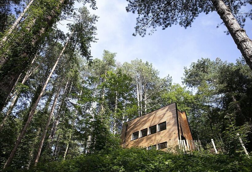 Bains De Forêt   Lodge Cosy & Spa