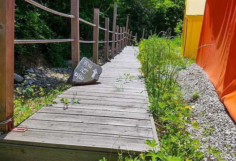 Chuncheon Gangchon Sky Pension