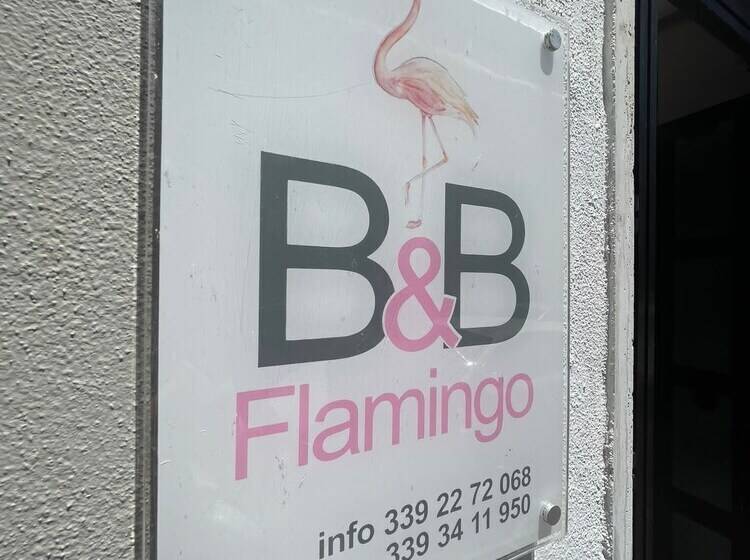 Flamingo B&b