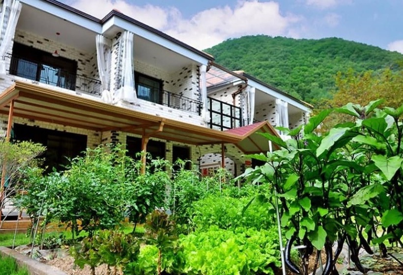 Gapyeong Dream Valley Pension