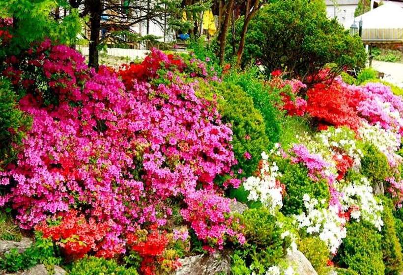 Gapyeong Purun Valley Pension