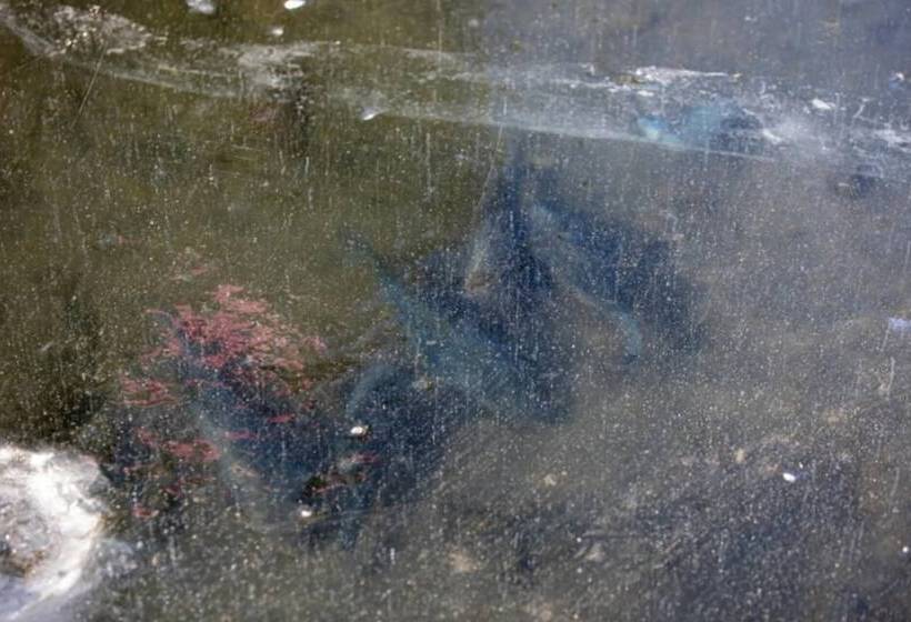 Gapyeong White House Valley Pension