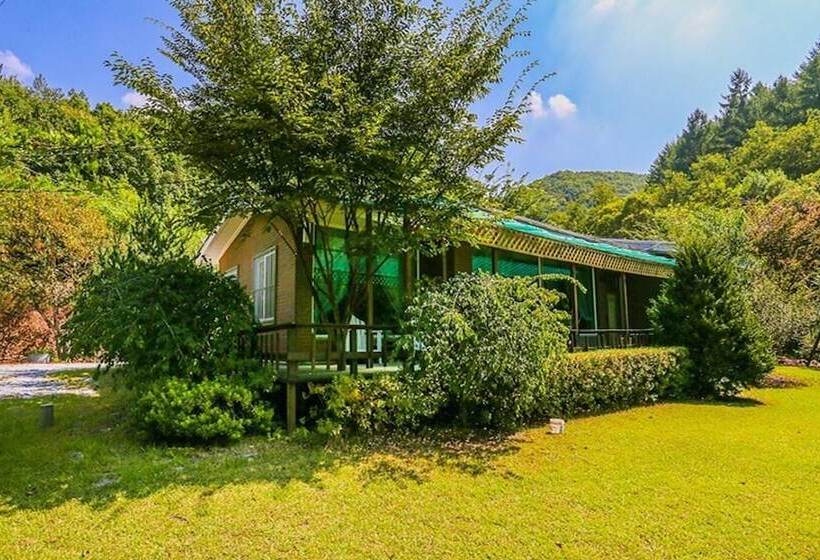 Goesan Romi House Pension