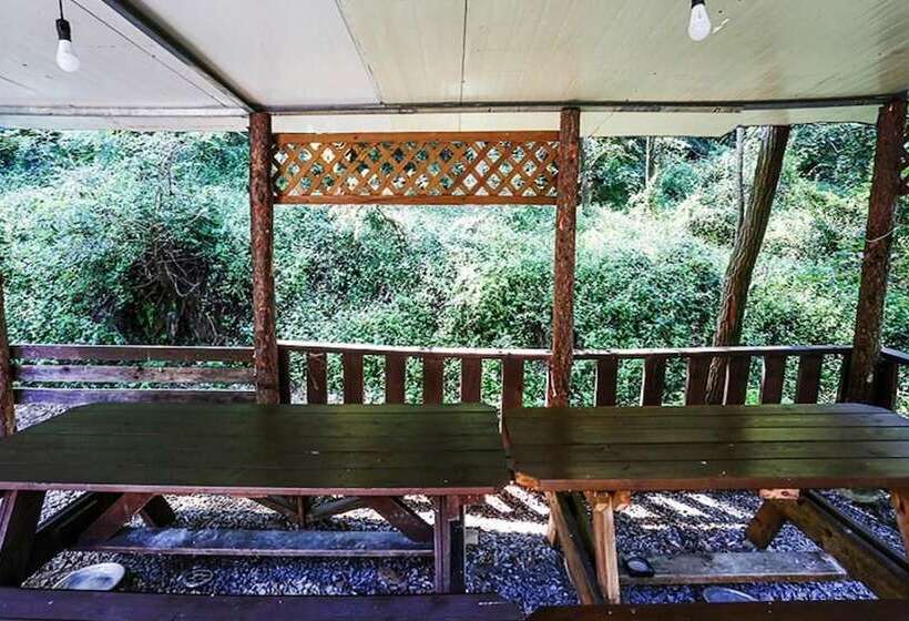 Goesan Romi House Pension