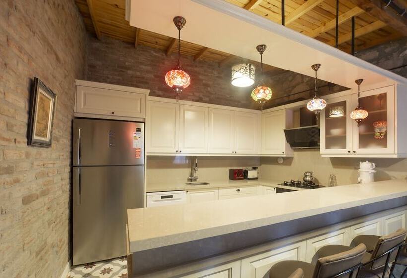 בית מלון כפרי Avlulu Konak Kucukkoy