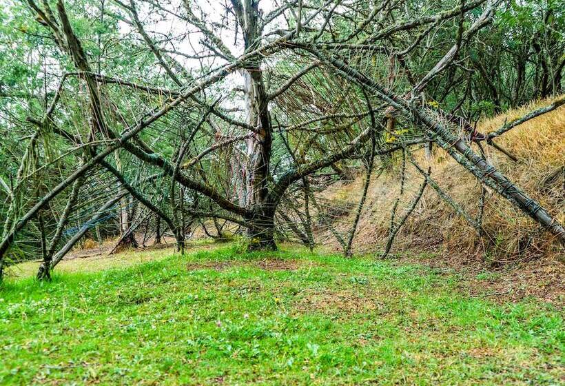 فندق Casa Sito By Rotamundos