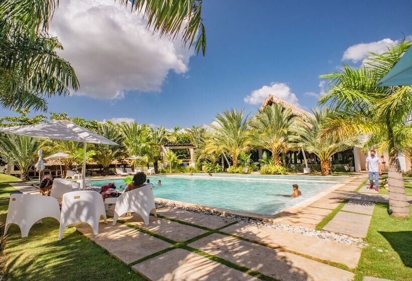 ホテル Coconut Paradise Beach