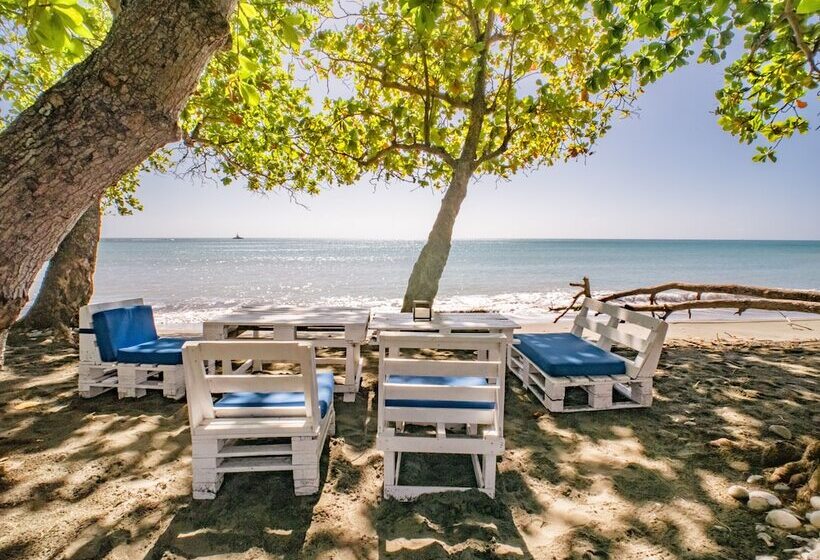 ホテル Coconut Paradise Beach