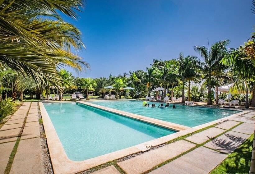 ホテル Coconut Paradise Beach