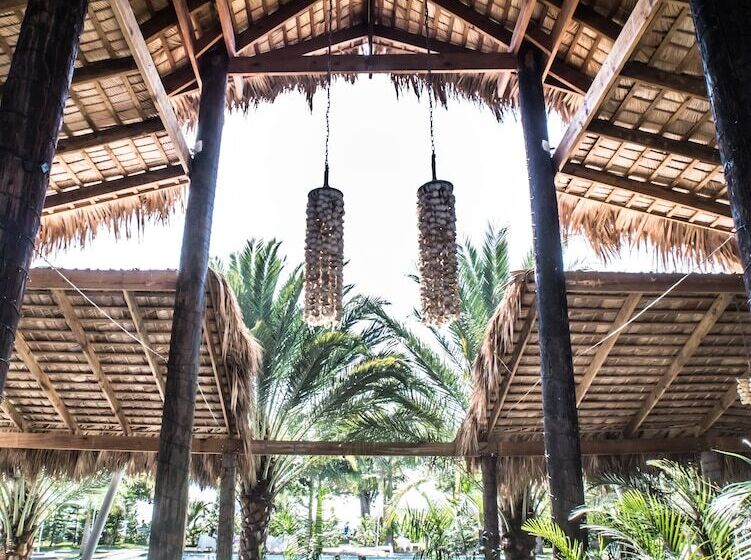 ホテル Coconut Paradise Beach