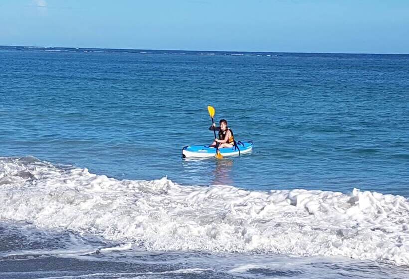 ホテル Coconut Paradise Beach