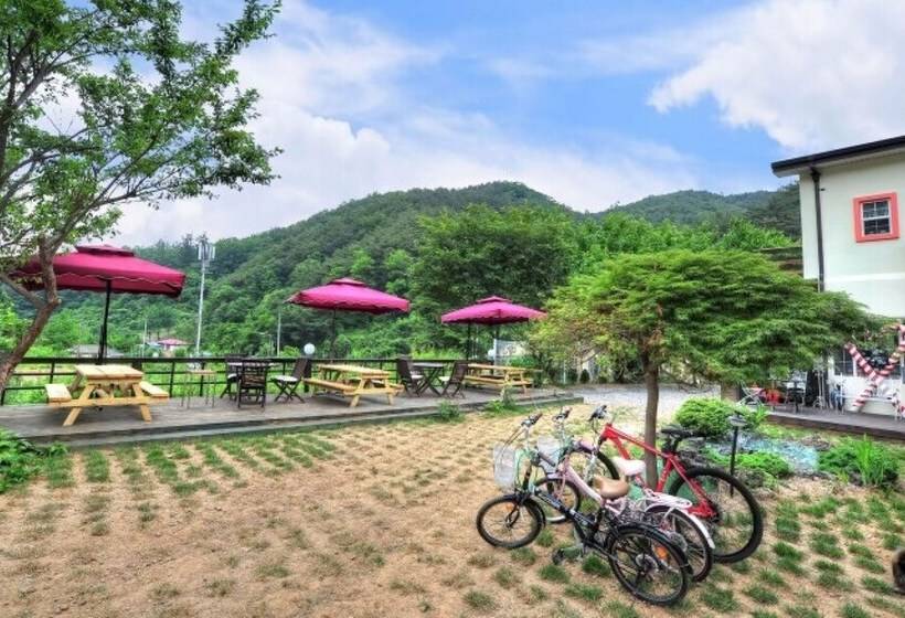 בית מלון כפרי Hongcheon Orange Pekoe Pension
