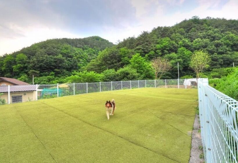 בית מלון כפרי Hongcheon Orange Pekoe Pension