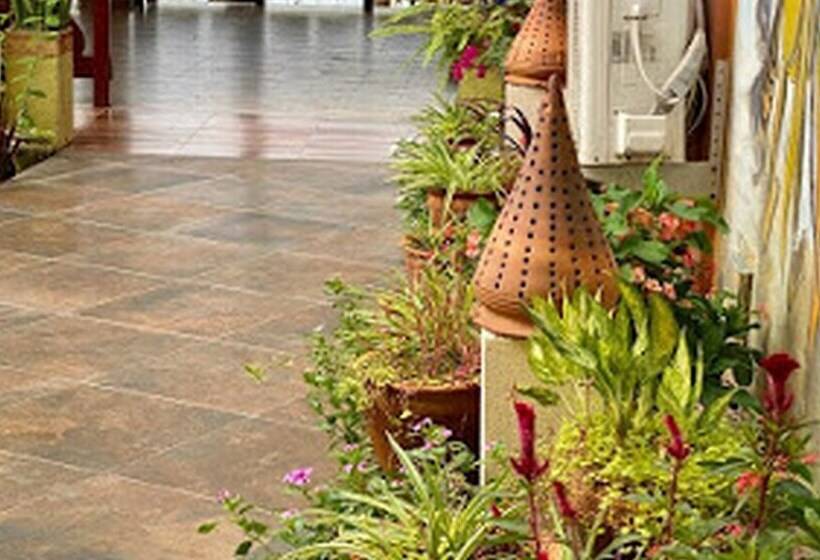 Hotel Maksresort  Standard Double