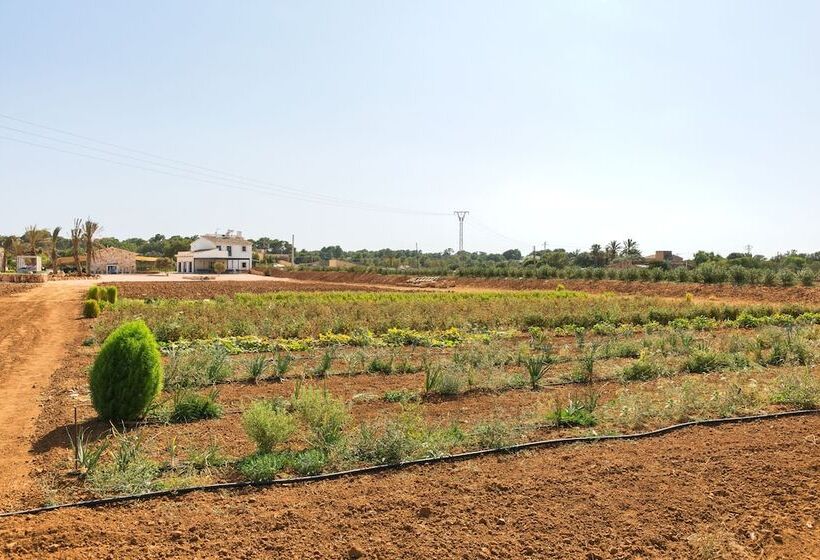 בית מלון כפרי Can Canto De Marina Agroturismo