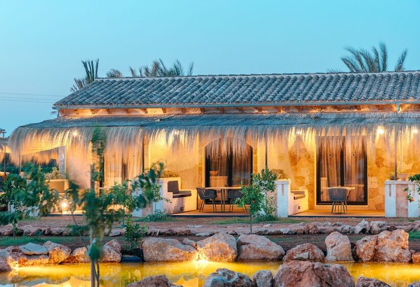 בית מלון כפרי Can Canto De Marina Agroturismo