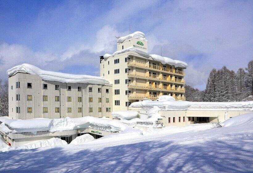 酒店 Ryuo Mountain