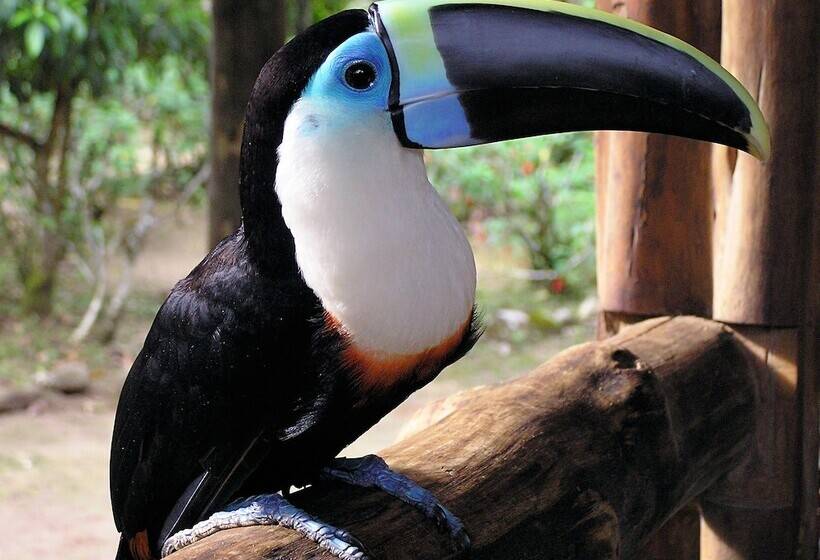 هتل Yacuma Ecolodge