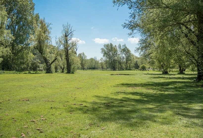 Laurel Lodge Kingfishers