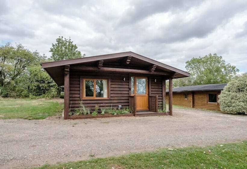 Laurel Lodge Kingfishers