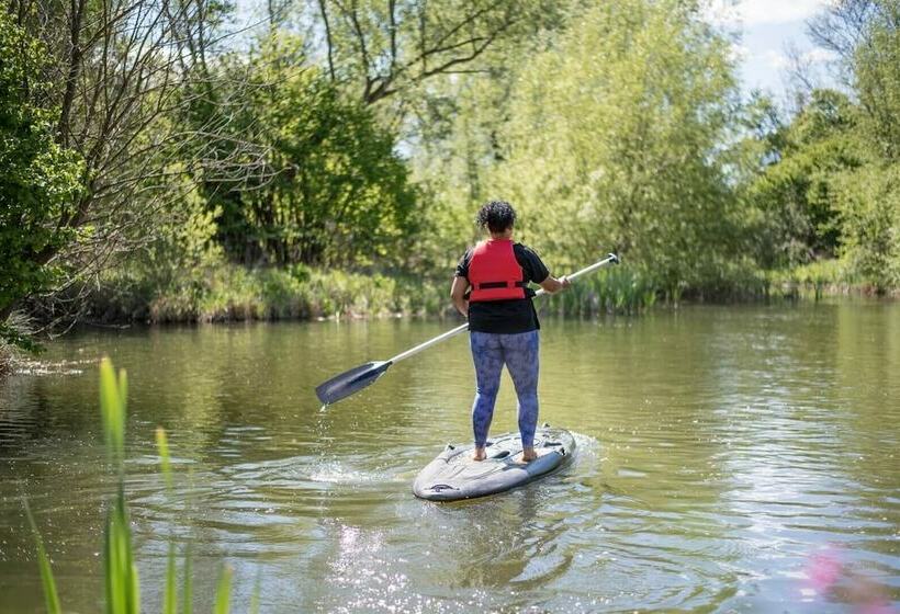 Laurel Lodge Kingfishers