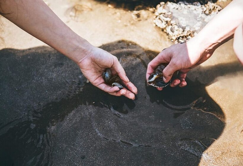 Motel Taean Anmyeondo La Mer 19