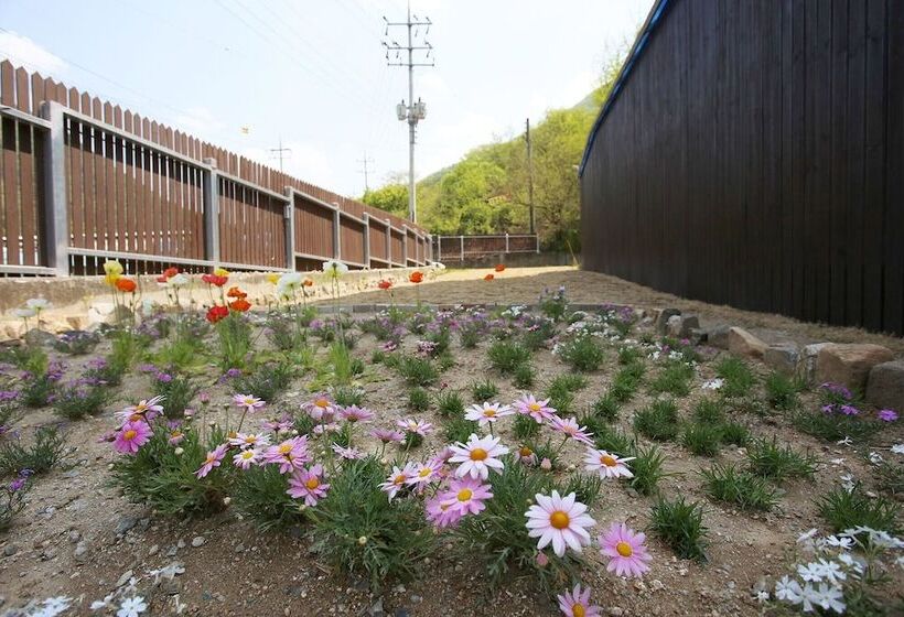 モーテル Gapyeong Sun Pine