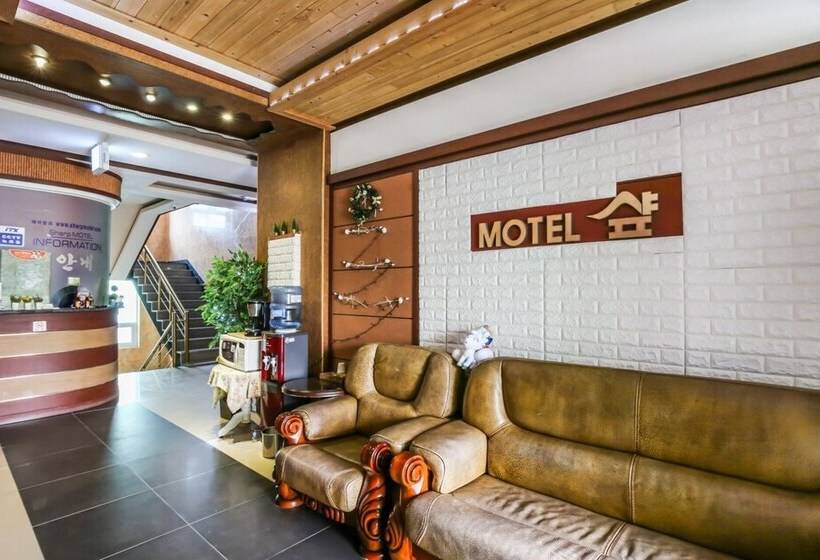 汽车旅馆  Taean Sharp