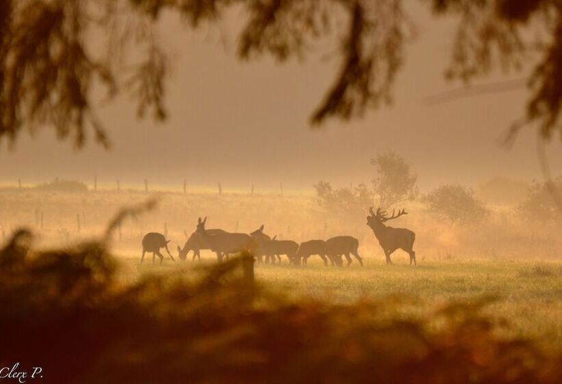 Пансион Les 12 Bois Du Cerf