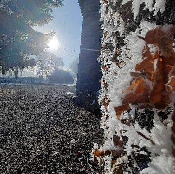 Пансион Les 12 Bois Du Cerf