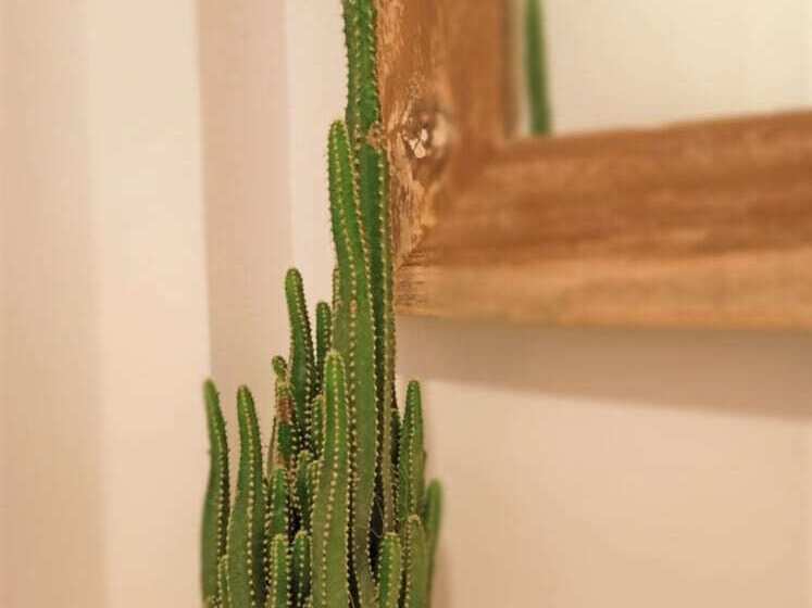 פנסיון The Eight Bali   Seminyak