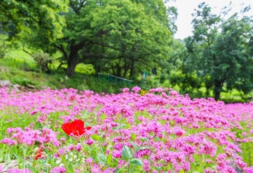 Pensão Yangpyeong Yangshui Renovation Tile