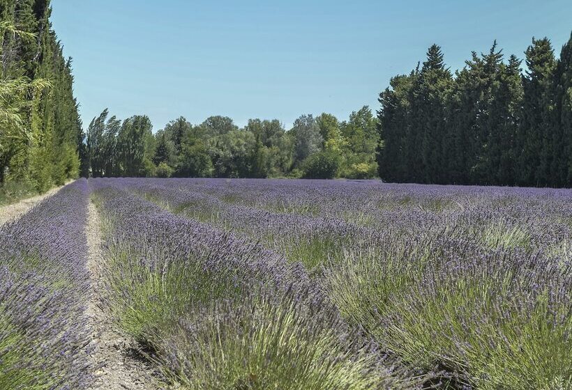 レジデンス Résidence Sun Hols   Les Rives Du Lac
