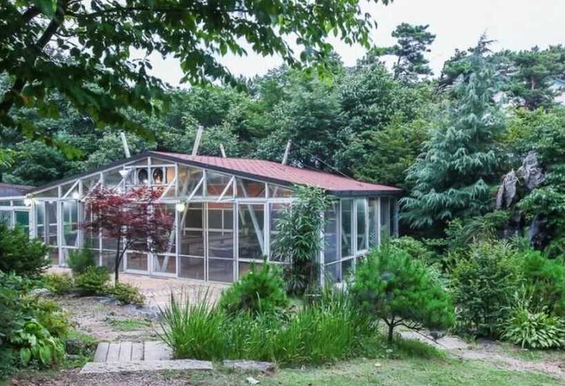 Taean Pine Wealth Pension