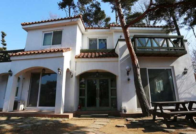 Taean Pine Wealth Pension