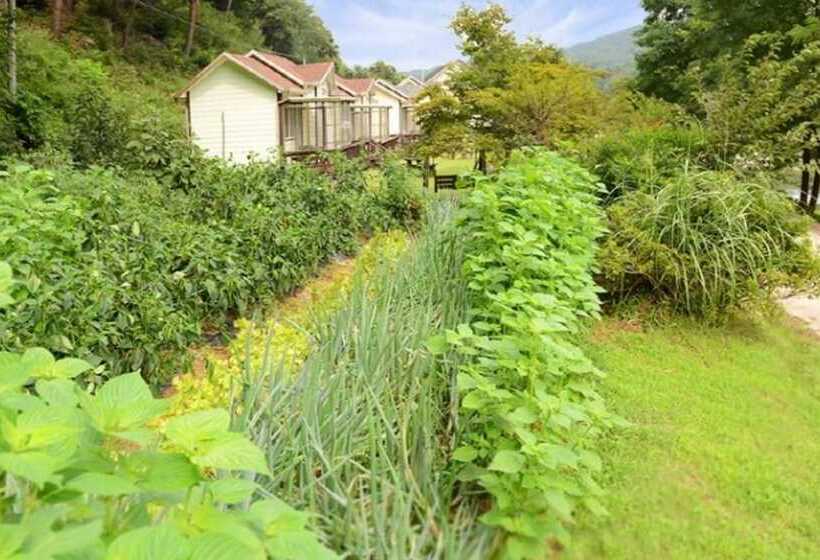 Yangyang Sigol Punggyeong Pension