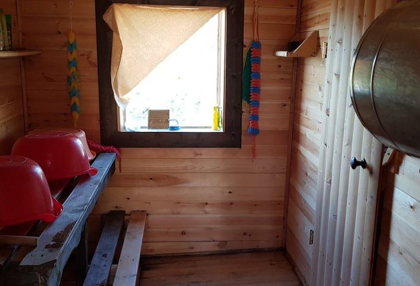 Baikal Hotel Petrovich