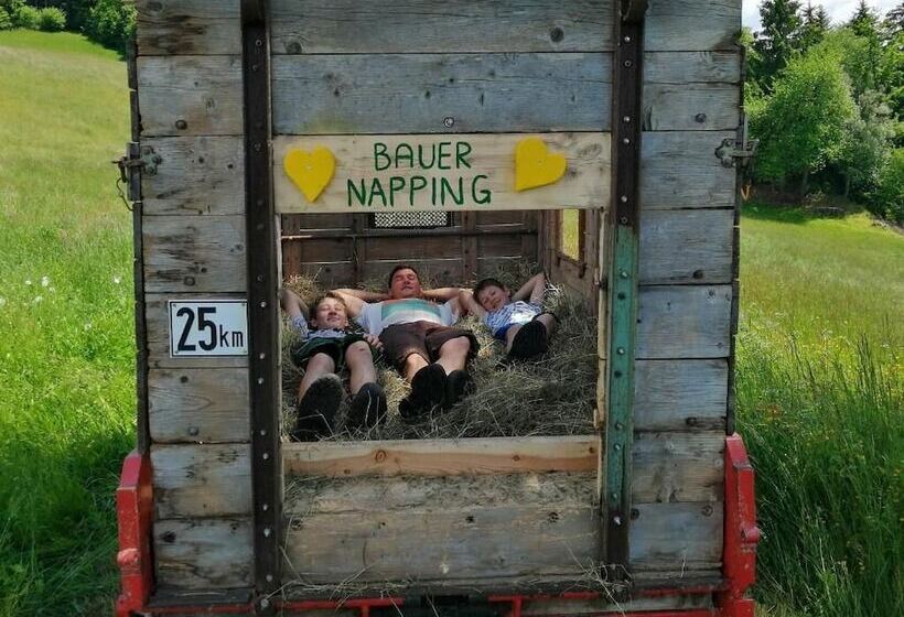 Bauernhof   Pension Stauder   Vlg. Oberrauter