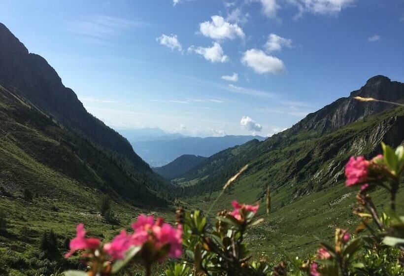 Bauernhof   Pension Stauder   Vlg. Oberrauter