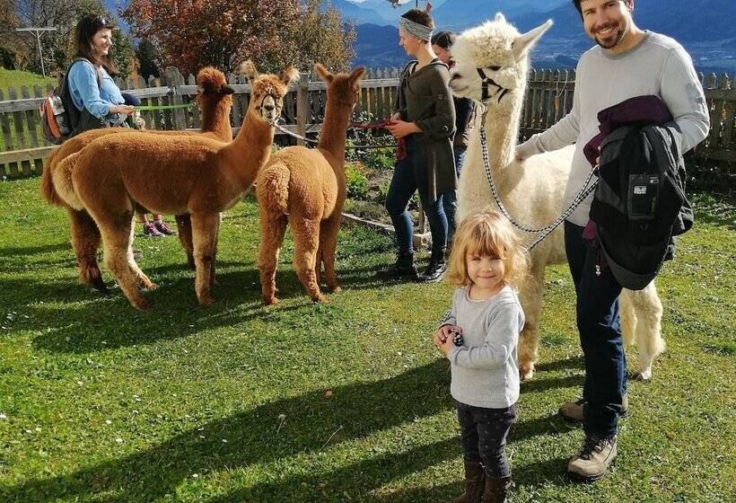 Bauernhof   Pension Stauder   Vlg. Oberrauter