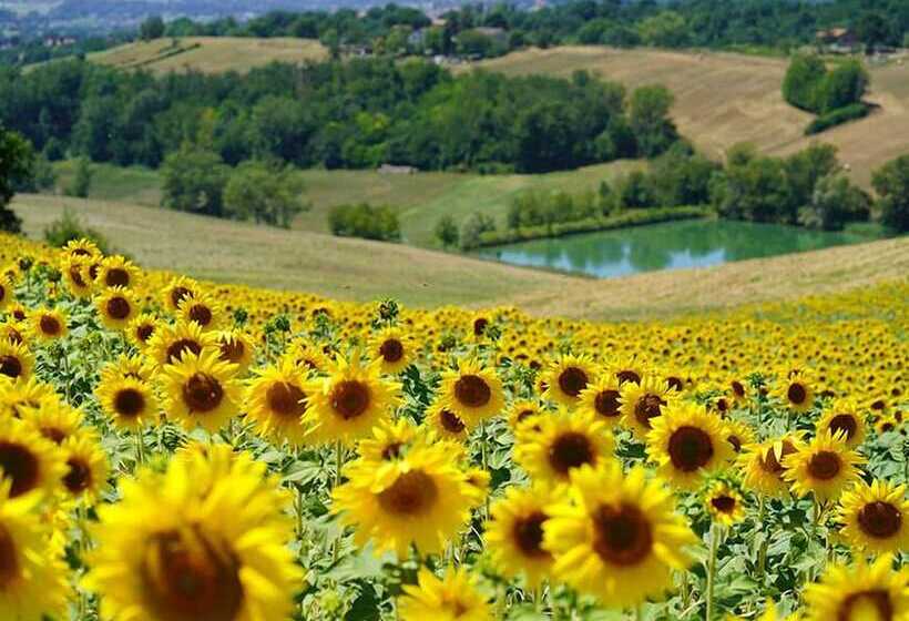 צימר Agriturismo Il Sarale   Umbria