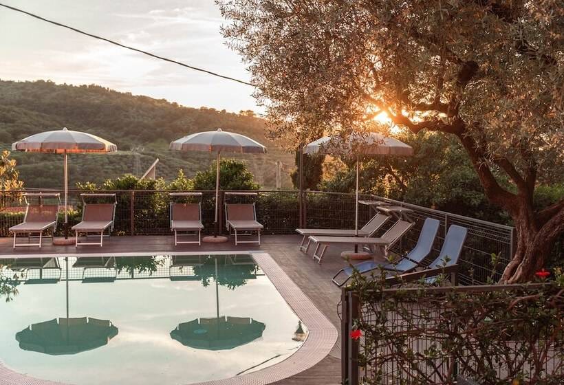 住宿加早餐  Bb La Mortella With Pool