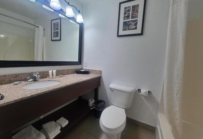 Country Inn & Suites By Radisson, Paducah, Ky