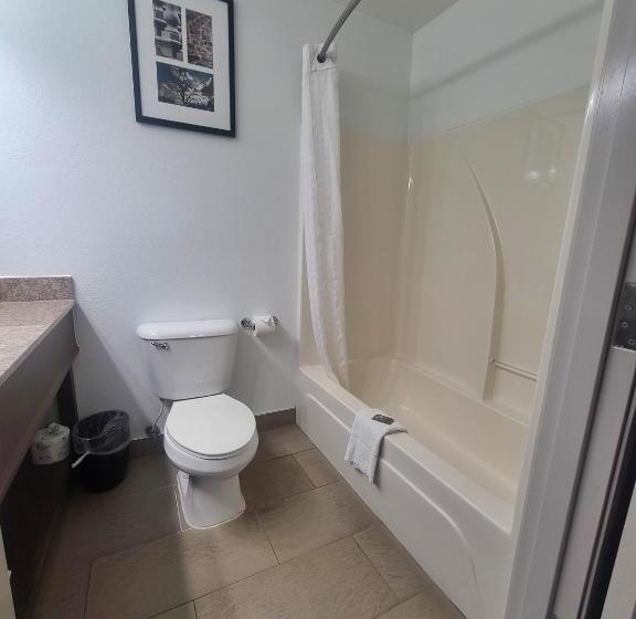 Country Inn & Suites By Radisson, Paducah, Ky