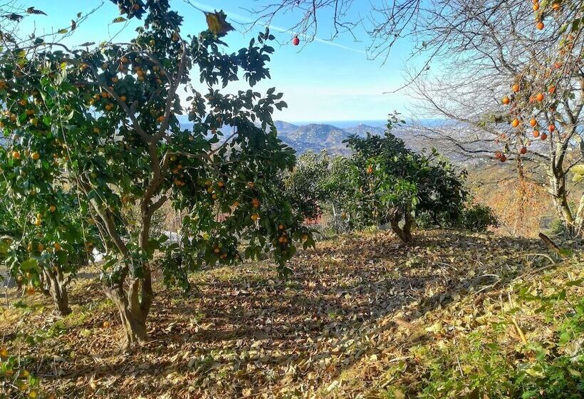 Door2heaven Eco Hotel And Camping